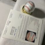 Ted Williams authenticated official major league baseball