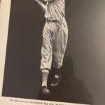 Ted Williams of the boston red sox photograph